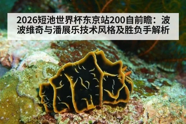 2026短池世界杯东京站200自前瞻:波波维奇与潘展乐技术风格及胜负手解析
