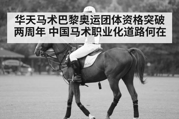 华天马术巴黎奥运团体资格突破两周年 中国马术职业化道路何在