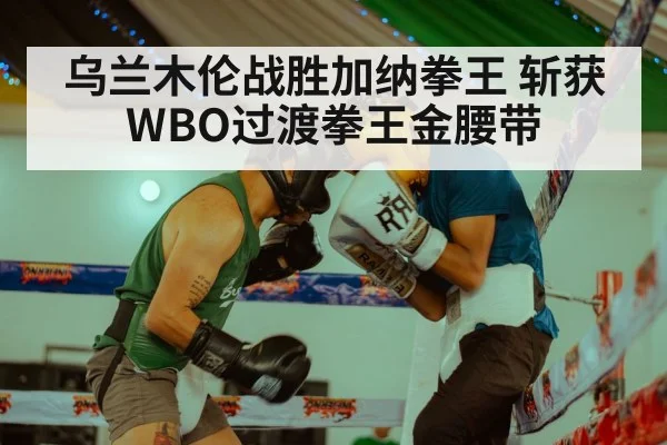 乌兰木伦战胜加纳拳王 斩获WBO过渡拳王金腰带